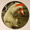 Polar Nip