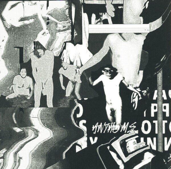 LESPOINTS007 Anthoms