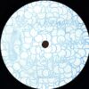 Interlace Jitter
