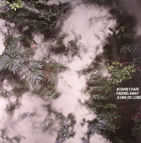 Fading Away / Luna de Lobos
