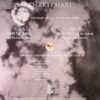 Fading Away / Luna de Lobos