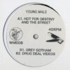 wm008 Hot For Destiny And The Street