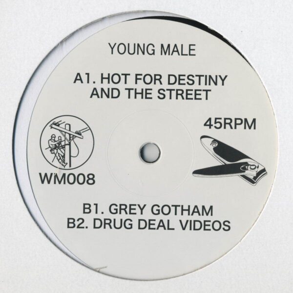 wm008 Hot For Destiny And The Street