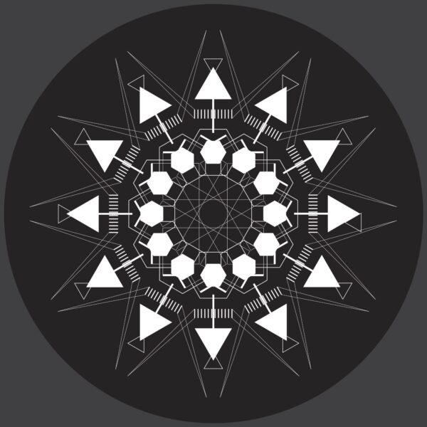 vinyl1_aside VA - Æternum Music