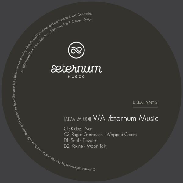 vinyl2_aside VA - Æternum Music