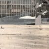 Persona Non Grata