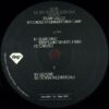 Recorded At Summer Forest Camp