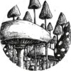 Sound Carrier Records 009