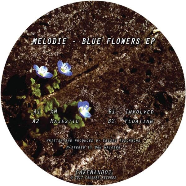Blue Flowers