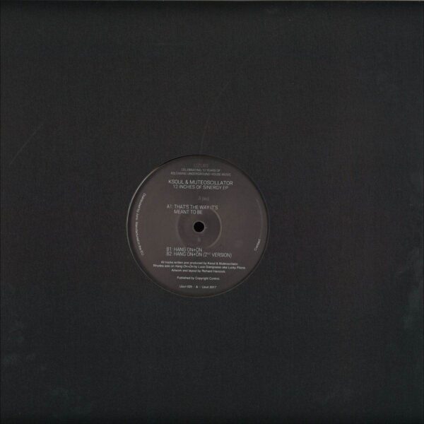 284246b 12 Inches Of Sinergy