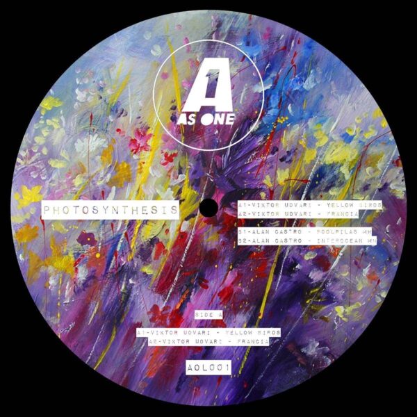 AOL001_front Photosynthesis