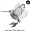 285248 World Of The Waking State