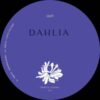 Dahlia996