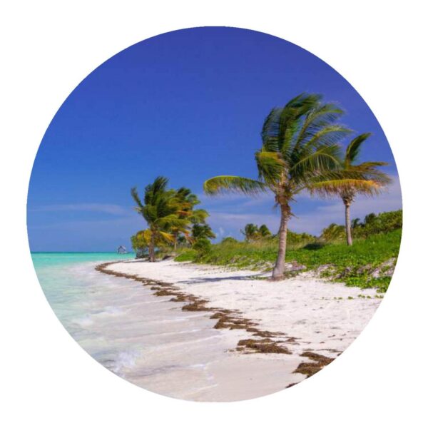 Yucatan Channel