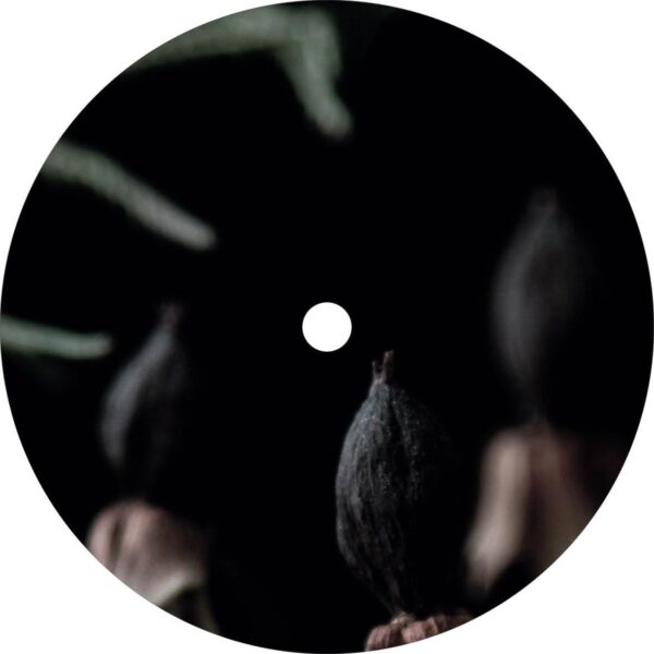 unnamed (10) UNTLD099
