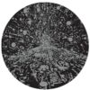 CS653101-01B-BIG Downtown