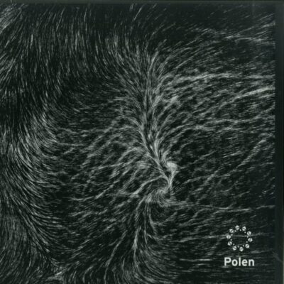 POL009 Untitled