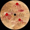 USR007_B Quantum Theory EP