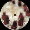 Wide Close Up EP