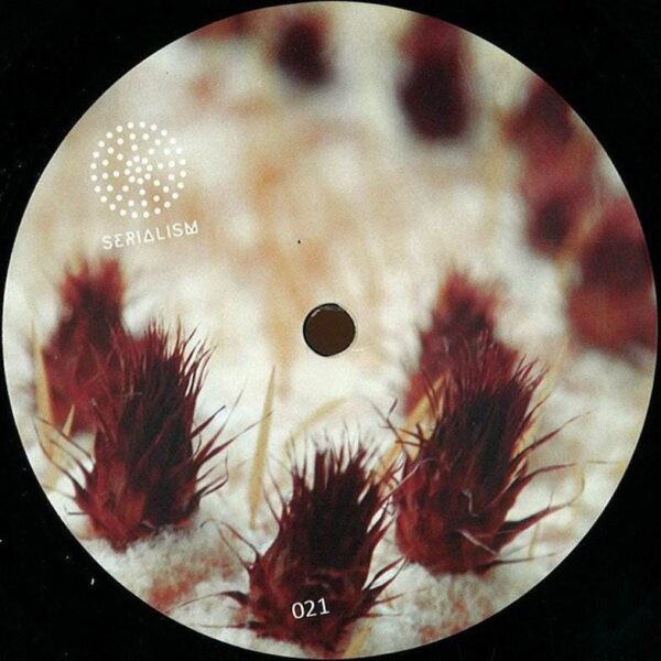 135330b Wide Close Up EP
