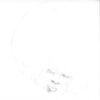 304379 Sallow / Pine