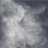 Cielo Intonato