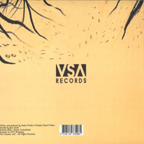 VSA003 back cover Reflections