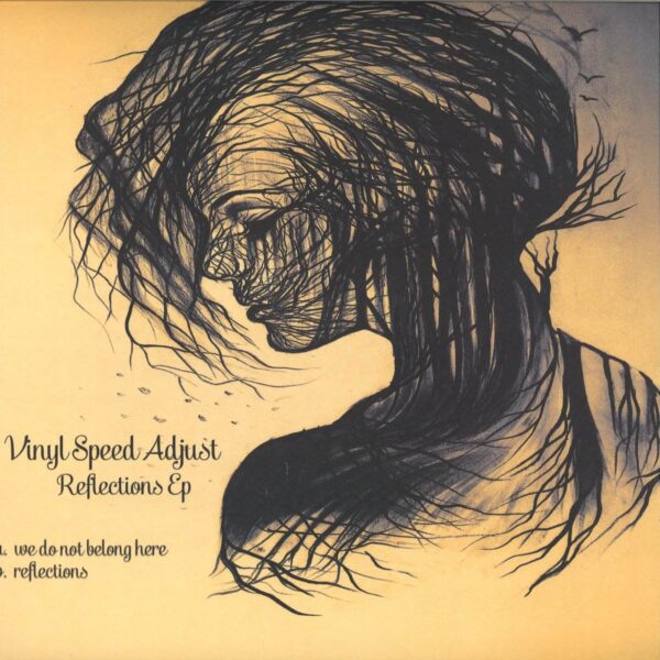 VSA003 cover Reflections