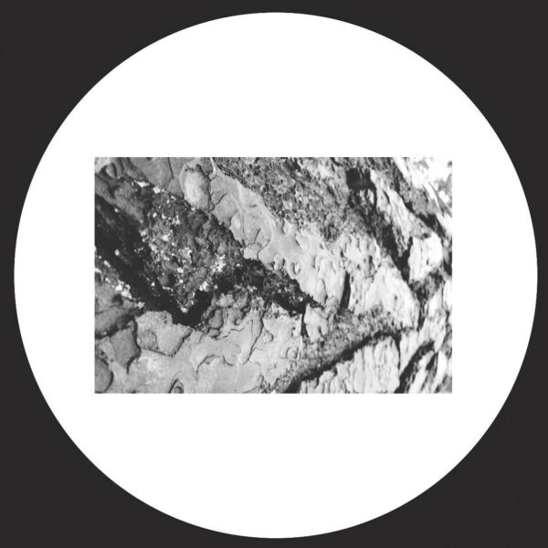 label_12inch_100mm_V092012.indd .elliot.project.006