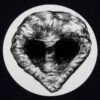 Proboscide 4