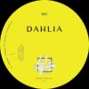 Dahlia995