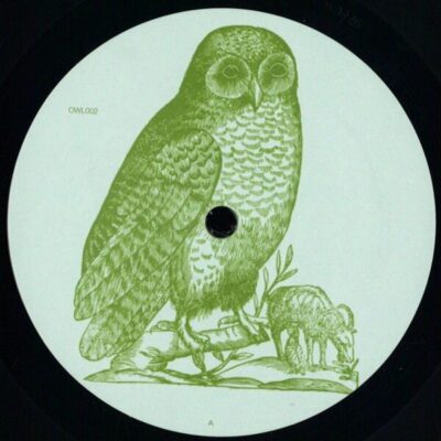 Untitled [Owl 002]