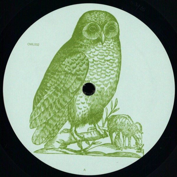 Untitled [Owl 002]