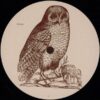 Untitled [Owl 003]