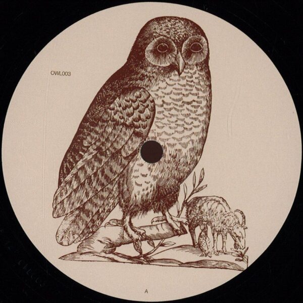 Untitled [Owl 003]