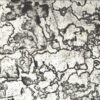 Materials & Applications