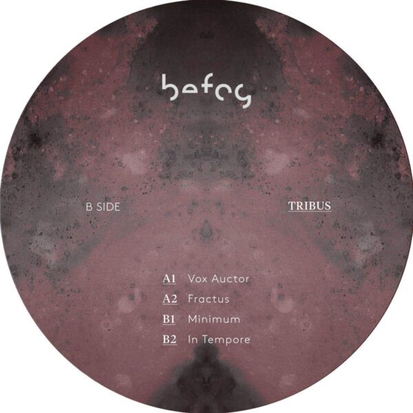 Tribus