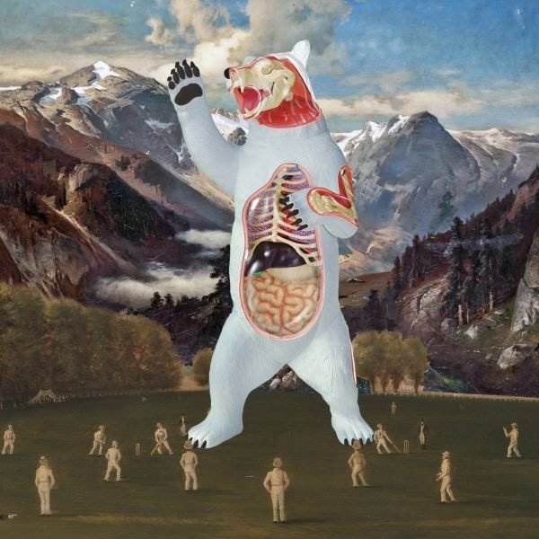 Hungry Bears Don't Dance