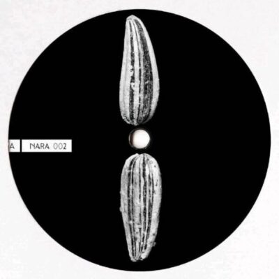 CS699377-01A-BIG Food Farm