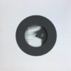 R-11961670-1530981667-2721.jpeg Noogenesis