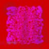 R-12118766-1528802817-1604.jpeg SMKMCHN #01