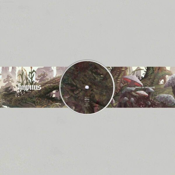HYPNUS020A_front Part 1: Bayou