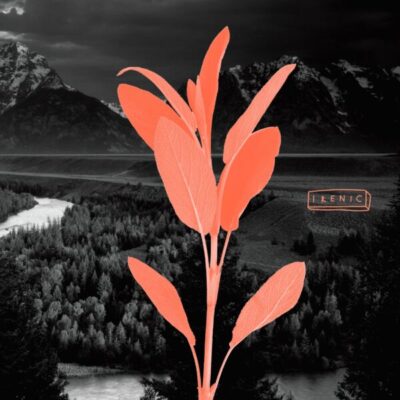 IRENIC004 Blackstock EP