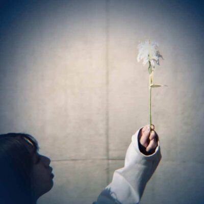 YL01_1 Reed
