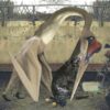 cover Semantics