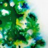 Verdant