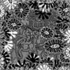 Visual Alterity