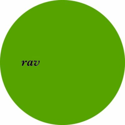 rav001