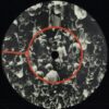 Voynich 0.0.1