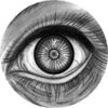 Entities
